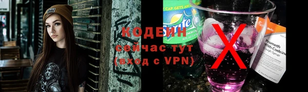 хмурый Абаза