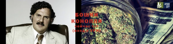хмурый Абаза