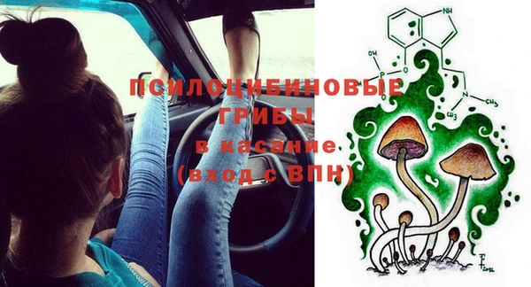 тгк Абинск