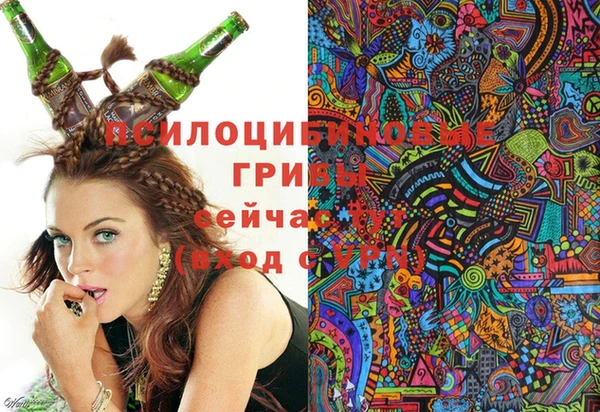хмурый Абаза