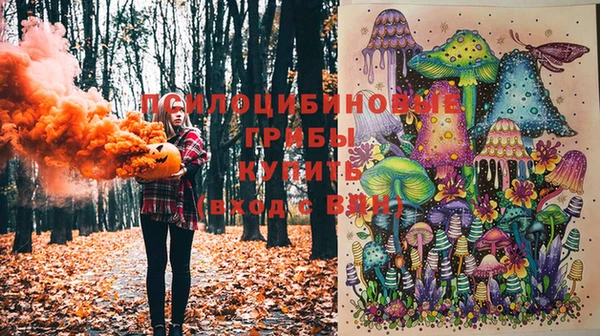 тгк Абинск