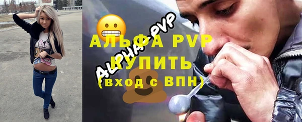 хмурый Абаза